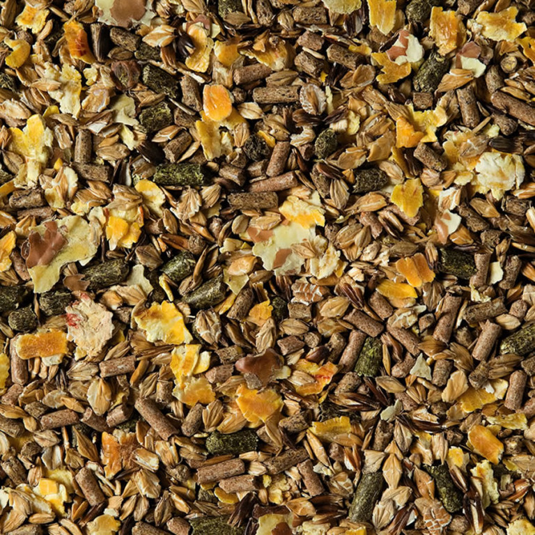 Mangime Completo Per Cavalli Progeo Tecno Horse 12 – Pellet E Fiocco 25 Kg, Con Barbabietola, Cereali E Vitamine, Per Mantenimento E Benessere